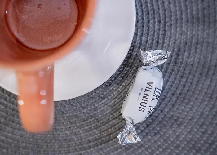 Hygge Oasis For Family With Free Parking And Wi Fi Διαμέρισμα Βίλνιους